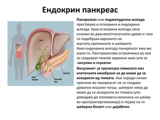 Ендокрин панкреас
Панкреасот или поджелудочна жлезда
преставува и егзокрина и ендокрина
жлезда. Како егзокрина жлезда лачи
ензими во дванаесетпалачното црево и така
го подобрува варењето на
мастите,протеините и шеќерите.
Како ендокрина жлезда панкреасот има мн
мали тн. Лангерхансови островчиња во кои
се создаваат повеќе хормони како што се
:инсулин и глукагон
Инсулинот- ја пренесува гликозата низ
клеточните мембрани за да може да се
искористи од ткивата. Ако поради некои
причини во панкреасот не се создава
доволно инсулин тогаш шеќерот нема да
може да се искористи во ткивата што
доведува до зголемена количина на шеќер
во крвта(хипергликемија) и појава на тн
шеќерна болест или дијабетес.
 