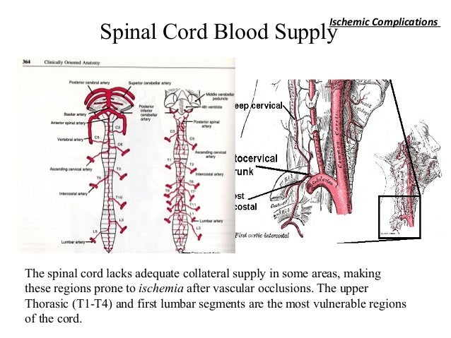complications of spinal cord injury pdf