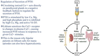 Endo lec 6 Calcium Metabolism.pptx