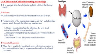 Endo lec 6 Calcium Metabolism.pptx
