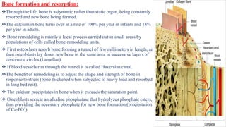 Endo lec 6 Calcium Metabolism.pptx