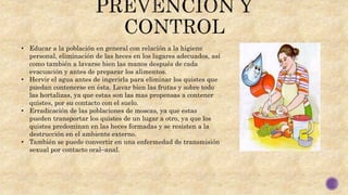• Educar a la población en general con relación a la higiene
personal, eliminación de las heces en los lugares adecuados, así
como también a lavarse bien las manos después de cada
evacuación y antes de preparar los alimentos.
• Hervir el agua antes de ingerirla para eliminar los quistes que
puedan contenerse en ésta. Lavar bien las frutas y sobre todo
las hortalizas, ya que estas son las mas propensas a contener
quistes, por su contacto con el suelo.
• Erradicación de las poblaciones de moscas, ya que estas
pueden transportar los quistes de un lugar a otro, ya que los
quistes predominan en las heces formadas y se resisten a la
destrucción en el ambiente externo.
• También se puede convertir en una enfermedad de transmisión
sexual por contacto oral–anal.
 