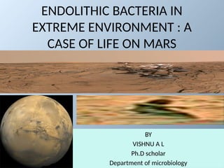 Endolithic Bacteria and the Search for Life on Mars: Insights from ...
