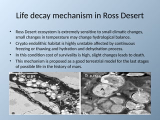 Endolithic Bacteria and the Search for Life on Mars: Insights from ...