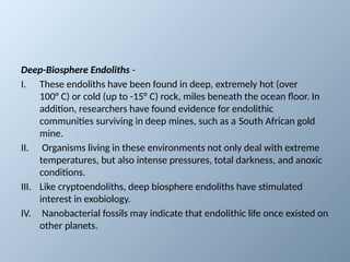 Endolithic Bacteria and the Search for Life on Mars: Insights from ...