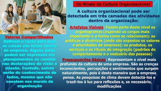 Os Níveis da Cultura Organizacional
A cultura organizacional pode ser
detectada em três camadas das atividades
dentro da organização:
Artefatos Visíveis: Fazem parte deste nível os
organogramas (expondo os cargos mais
importante e a forma como se relacionam); as
políticas e diretrizes (onde são expostos os valores
e prioridades da empresa); os produtos, os
serviços e os rituais de integração (padrões de
comportamento e o vestuário das pessoas)
Valores Compartilhados:
Definem a razão pela qual
as coisas são feitas dentro
da empresa. Alguns deles
podem ser expressos em
planejamentos ou constar
nas declarações de visão e
missão. Contudo, outros
serão do conhecimento de
todos, mesmo que não
constem nos murais da
organização
Pressuposições Básicas: Representam o nível mais
profundo da cultura de uma empresa. São as crenças
inconscientes, percepções e sentimentos que surgem
naturalmente, pois é desta maneira que a empresa
pensa. As pesquisas de clima devem detectá-los e
trazê-los à luz para reflexões e, se necessário,
modificações
 