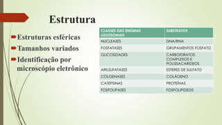 Estrutura
Estruturas esféricas
Tamanhos variados
Identificação por
microscópio eletrônico
CLASSES DAS ENZIMAS
LISOSSOMAIS
SUBSTRATOS
NUCLEASES DNA/RNA
FOSFATASES GRUPAMENTOS FOSFATO
GLICOSIDADES CARBOIDRATOS
COMPLEXOS E
POLISSACARIDEOS
ARILSUFATASES ESTERES DE SULFATO
COLGENASES COLÁGENO
CATEPSINAS PROTEÍNAS
FOSFOLIPASES FOSFOLIPIDEOS
 