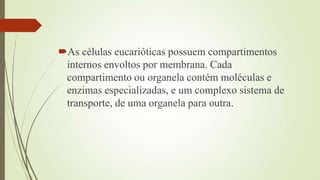 As células eucarióticas possuem compartimentos
internos envoltos por membrana. Cada
compartimento ou organela contém moléculas e
enzimas especializadas, e um complexo sistema de
transporte, de uma organela para outra.
 
