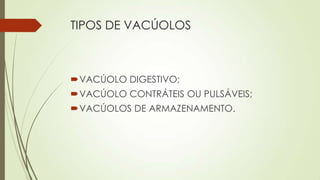 TIPOS DE VACÚOLOS
VACÚOLO DIGESTIVO;
VACÚOLO CONTRÁTEIS OU PULSÁVEIS;
VACÚOLOS DE ARMAZENAMENTO.
 