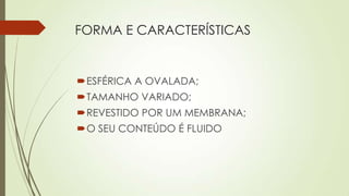 FORMA E CARACTERÍSTICAS
ESFÉRICA A OVALADA;
TAMANHO VARIADO;
REVESTIDO POR UM MEMBRANA;
O SEU CONTEÚDO É FLUIDO
 