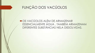 FUNÇÃO DOS VACÚOLOS
OS VACÚOLOS ALÉM DE ARMAZENAR
ESSENCIALMENTE ÁGUA , TAMBÉM ARMAZENAM
DIFERENTES SUBSTÂNCIAS NELA DISSOLVIDAS.
 