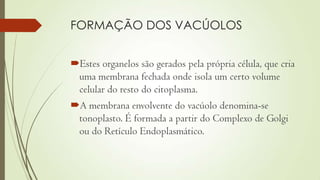 FORMAÇÃO DOS VACÚOLOS
Estes organelos são gerados pela própria célula, que cria
uma membrana fechada onde isola um certo volume
celular do resto do citoplasma.
A membrana envolvente do vacúolo denomina-se
tonoplasto. É formada a partir do Complexo de Golgi
ou do Retículo Endoplasmático.
 