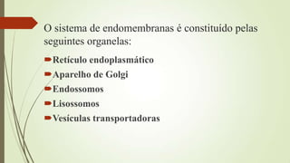 O sistema de endomembranas é constituído pelas
seguintes organelas:
Retículo endoplasmático
Aparelho de Golgi
Endossomos
Lisossomos
Vesículas transportadoras
 