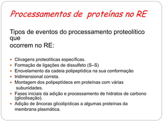Processamentos de proteínas no RE 
Tipos de eventos do processamento proteolítico que 
ocorrem no RE: 
Clivagens proteolíticas específicas. 
Formação de ligações de dissulfeto (S–S) 
Enovelamento da cadeia polipeptídica na sua conformação 
tridimensional correta. 
Montagem dos polipeptídeos em proteínas com várias 
subunidades. 
Fases iniciais da adição e processamento de hidratos de carbono (glicolisação). 
Adição de âncoras glicolipídicas a algumas proteínas da 
membrana plasmática.  