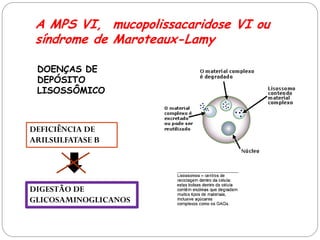 A MPS VI, mucopolissacaridose VI ou síndrome de Maroteaux-Lamy 
DOENÇAS DE DEPÓSITO LISOSSÔMICO 
DEFICIÊNCIA DE ARILSULFATASE B 
DIGESTÃO DE GLICOSAMINOGLICANOS  