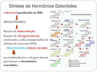 Síntese de Hormônios Esteróides 
colesterol produzido no REL 
MITOCÔNDRIAS 
Reações de hidroxilação 
Reações de clivagem lateral, envolvendo a cadeia transportadora de elétrons do citocromo P450. 
PREGNOLONA VOLTA AO REL 
novas hidroxilações e clivagens laterais para formar os hormônios esteróides.  