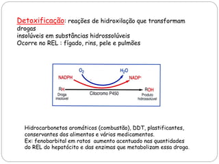 Hidrocarbonetos aromáticos (combustão), DDT, plastificantes, 
conservantes dos alimentos e vários medicamentos. 
Ex: fenobarbital em ratos aumento acentuado nas quantidades 
do REL do hepatócito e das enzimas que metabolizam essa droga. 
Detoxificação: reações de hidroxilação que transformam drogas insolúveis em substâncias hidrossolúveis Ocorre no REL : fígado, rins, pele e pulmões  