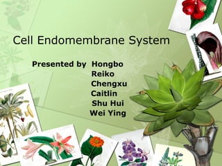 Cell Endomembrane System
Presented by Hongbo
Reiko
Chengxu
Caitlin
Shu Hui
Wei Ying
 