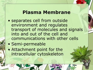 Endomembrane