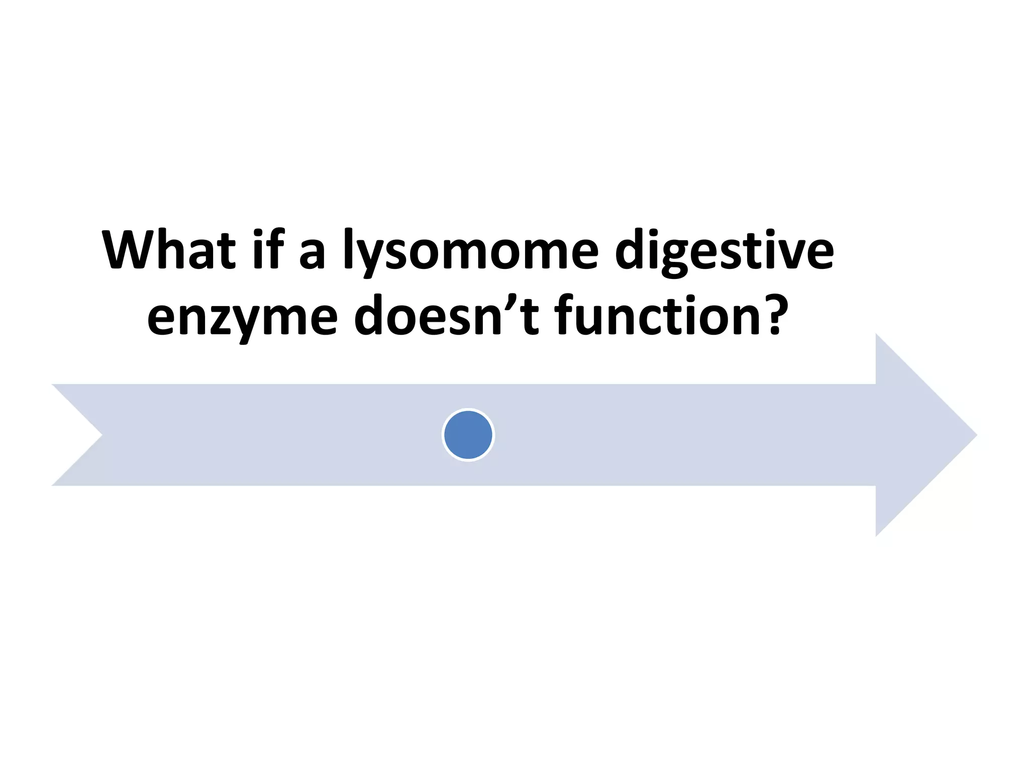 What if a lysomome digestive
enzyme doesn’t function?
 