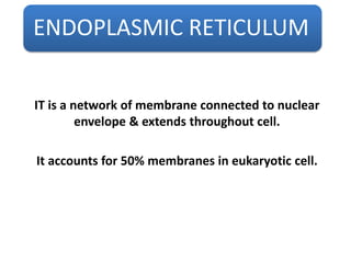 ENDOPLASMIC RETICULUM
IT is a network of membrane connected to nuclear
envelope & extends throughout cell.
It accounts for 50% membranes in eukaryotic cell.
 