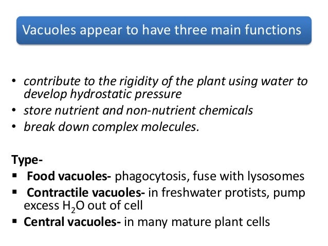 Endomembrane system