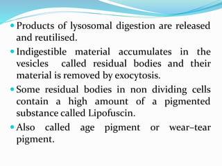  Products of lysosomal digestion are released
and reutilised.
 Indigestible material accumulates in the
vesicles called residual bodies and their
material is removed by exocytosis.
 Some residual bodies in non dividing cells
contain a high amount of a pigmented
substance called Lipofuscin.
 Also called age pigment or wear–tear
pigment.
 
