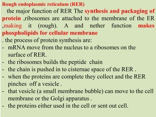 endomembrane_system Cc4.pdf