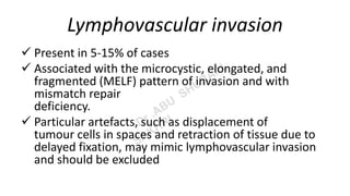 Lymphovascular invasion
 Present in 5-15% of cases
 Associated with the microcystic, elongated, and
fragmented (MELF) pattern of invasion and with
mismatch repair
deficiency.
 Particular artefacts, such as displacement of
tumour cells in spaces and retraction of tissue due to
delayed fixation, may mimic lymphovascular invasion
and should be excluded
 