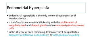 Endometrial Hyperplasia
• endometrial hyperplasia is the only known direct precursor of
invasive disease.
• It is defined as endometrial thickening with the proliferation of
irregularly sized and shaped glands and an increased gland-to-stroma
ratio
• In the absence of such thickening, lesions are best designated as
disorderly proliferative endometrium or focal glandular crowding
 