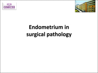 Endometrium in
surgical pathology
aj
 