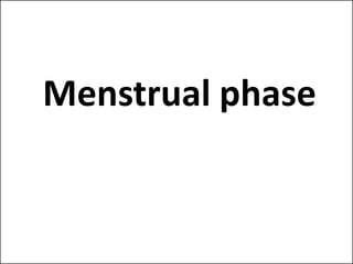 Menstrual phase
aj
 