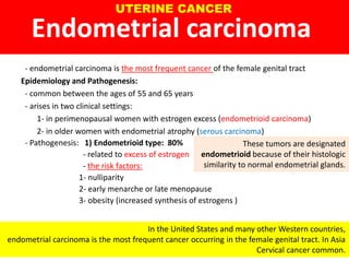 Endometrial carcinoma
- endometrial carcinoma is the most frequent cancer of the female genital tract
Epidemiology and Pathogenesis:
- common between the ages of 55 and 65 years
- arises in two clinical settings:
1- in perimenopausal women with estrogen excess (endometrioid carcinoma)
2- in older women with endometrial atrophy (serous carcinoma)
- Pathogenesis: 1) Endometrioid type: 80%
- related to excess of estrogen
- the risk factors:
1- nulliparity
2- early menarche or late menopause
3- obesity (increased synthesis of estrogens )
In the United States and many other Western countries,
endometrial carcinoma is the most frequent cancer occurring in the female genital tract. In Asia
Cervical cancer common.
These tumors are designated
endometrioid because of their histologic
similarity to normal endometrial glands.
UTERINE CANCER
 