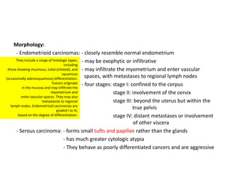 Morphology:
- Endometrioid carcinomas: - closely resemble normal endometrium
- may be exophytic or infiltrative
- may infiltrate the myometrium and enter vascular
spaces, with metastases to regional lymph nodes
- four stages: stage I: confined to the corpus
stage II: involvement of the cervix
stage III: beyond the uterus but within the
true pelvis
stage IV: distant metastases or involvement
of other viscera
- Serous carcinoma: - forms small tufts and papillae rather than the glands
- has much greater cytologic atypia
- They behave as poorly differentiated cancers and are aggressive
They include a range of histologic types,
including
those showing mucinous, tubal (ciliated), and
squamous
(occasionally adenosquamous) differentiation.
Tumors originate
in the mucosa and may infiltrate the
myometrium and
enter vascular spaces. They may also
metastasize to regional
lymph nodes. Endometrioid carcinomas are
graded I to III,
based on the degree of differentiation.
 