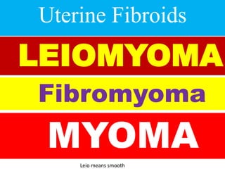 Uterine Fibroids
LEIOMYOMA
Fibromyoma
MYOMA
Leio means smooth
 