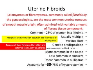 Uterine Fibroids
Leiomyomas or fibromyomas, commonly called fibroids by
the gynaecologists, are the most common uterine tumours
of smooth muscle origin, often admixed with variable amount
of fibrous tissue component.
•Common – 25% of women in a lifetime
•Usually multiple
•Various sizes
•Genetic predisposition
•more common in black races
•More common in the obese
•Less common in smokers
•More common in nulliparas
•Accounts for ~30-75% of hysterectomies
Malignant transformation occurs in less than 0.5% of
leiomyomas.
Because of their firmness, they often are
referred to clinically as fibroids
 