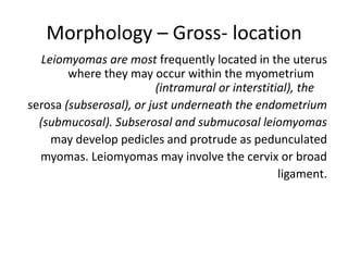Morphology – Gross- location
Leiomyomas are most frequently located in the uterus
where they may occur within the myometrium
(intramural or interstitial), the
serosa (subserosal), or just underneath the endometrium
(submucosal). Subserosal and submucosal leiomyomas
may develop pedicles and protrude as pedunculated
myomas. Leiomyomas may involve the cervix or broad
ligament.
 