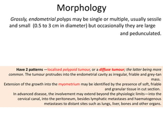 Morphology
Grossly, endometrial polyps may be single or multiple, usually sessile
and small (0.5 to 3 cm in diameter) but occasionally they are large
and pedunculated.
Have 2 patterns —localised polypoid tumour, or a diffuse tumour; the latter being more
common. The tumour protrudes into the endometrial cavity as irregular, friable and grey-tan
mass.
Extension of the growth into the myometrium may be identified by the presence of soft, friable
and granular tissue in cut section.
In advanced disease, the involvement may extend beyond the physiologic limits—into the
cervical canal, into the peritoneum, besides lymphatic metastases and haematogenous
metastases to distant sites such as lungs, liver, bones and other organs.
 