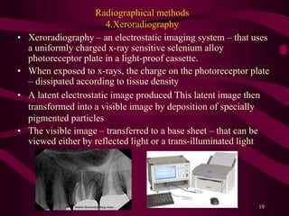 working length estimation in endodontic | PPTX