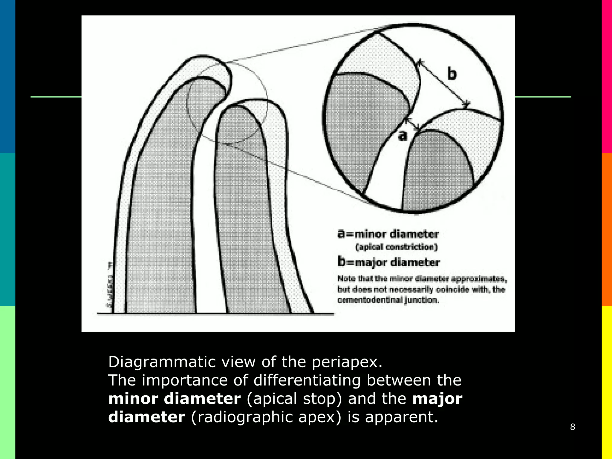 Endometrics root canal working length determination | PPT