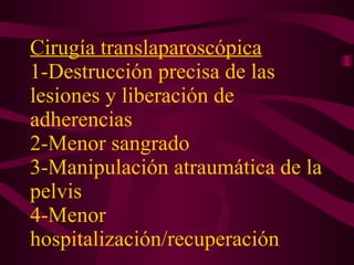 Cirugía translaparoscópica   1-Destrucción precisa de las lesiones y liberación de adherencias  2-Menor sangrado  3-Manipulación atraumática de la pelvis  4-Menor hospitalización/recuperación 
