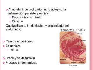 

Al no eliminarse el endometrio ectópico la
inflamación persiste y origina:
Factores de crecimiento
 Citosinas


Que facilitan la implantación y crecimiento del
endometrio.

Penetra el peritoneo
 Se adhiere




TNF- α

Crece y se desarrolla
 Produce endometriosis


 
