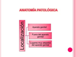 Localización
Aparato genital
Fuera del aparato
genital
Lugares muy alejados
del aparato genital
 