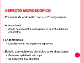  Presencia de endometrio con sus 2 componentes
 Adenomiosis:
 Zonas de endometrio se localizan en la profundidad del
endometrio
 Endometriosis:
 Localización en los lugares ya expuestos.
 Epitelio que reviste las glándulas sufre alteraciones
 Semeja el epitelio de la trompa
 Se encuentra muy aplanado
 