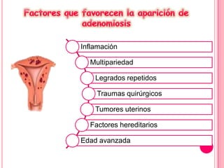 Inflamación
Multipariedad
Legrados repetidos
Traumas quirúrgicos
Tumores uterinos
Factores hereditarios
Edad avanzada
 