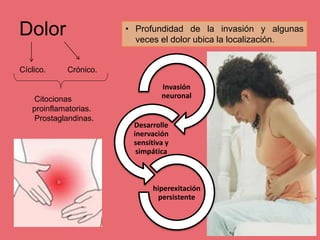 Dolor
Cíclico. Crónico.
Citocionas
proinflamatorias.
Prostaglandinas.
• Profundidad de la invasión y algunas
veces el dolor ubica la localización.
Invasión
neuronal
Desarrolle
inervación
sensitiva y
simpática
hiperexitación
persistente
 