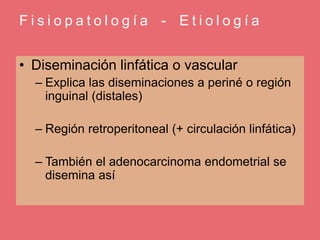 F i s i o p a t o l o g í a - E t i o l o g í a
• Diseminación linfática o vascular
– Explica las diseminaciones a periné o región
inguinal (distales)
– Región retroperitoneal (+ circulación linfática)
– También el adenocarcinoma endometrial se
disemina así
 