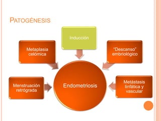 PATOGÉNESIS
EndometriosisMenstruación
retrógrada
Metaplasia
celómica
Inducción
“Descanso”
embriológico
Metástasis
linfática y
vascular
 