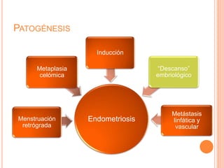 PATOGÉNESIS
EndometriosisMenstruación
retrógrada
Metaplasia
celómica
Inducción
“Descanso”
embriológico
Metástasis
linfática y
vascular
 