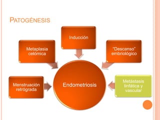 PATOGÉNESIS
EndometriosisMenstruación
retrógrada
Metaplasia
celómica
Inducción
“Descanso”
embriológico
Metástasis
linfática y
vascular
 